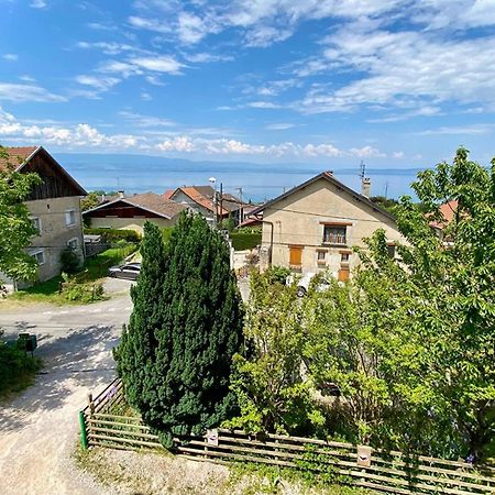 Maison Familiale Vue Lac Avec Jardin - A 10Mn Du Lac Et Stations De Ski Διαμέρισμα Publier Εξωτερικό φωτογραφία